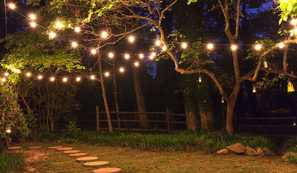 Illuminate Your Home with String Lights: A Magical Touch to Your Decor ...