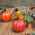 Ceramic Pumpkin Ornaments