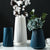 Morandi  Modern Plastic Vase CharaDecor