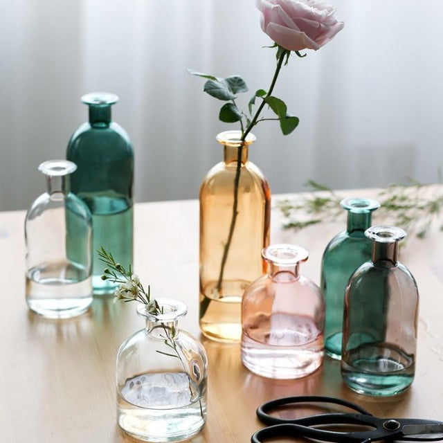 Nordic Style Transparent Glass Vase CharaDecor
